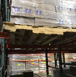 Why We Need Safety Gallery